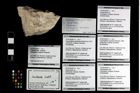 Foto (Objekt + Etikett) von Cracensigillatus gracilirostrus (Robins et al., 2013)  (NHMW-GEO-2014-0194-0971a)